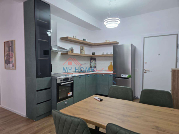 apartament-21-me-qira-ali-demi-tirane-big-1