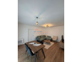 apartament-21-me-qira-ish-dogana-tirane-small-2