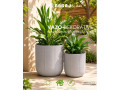 vazo-plastike-me-dizajn-modern-qe-japin-pamjen-elegante-te-betonit-small-2