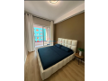 apartament-11-me-qira-ali-demi-tirane-small-2