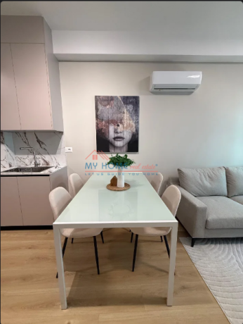 apartament-11-me-qira-ali-demi-tirane-big-3