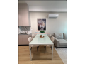 apartament-11-me-qira-ali-demi-tirane-small-3