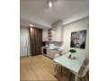 apartament-11-me-qira-ali-demi-tirane-small-4