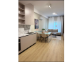 apartament-11-me-qira-ali-demi-tirane-small-0