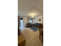 apartament-11-me-qira-ne-qender-te-tiranes-small-1