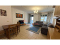 apartament-11-me-qira-ne-qender-te-tiranes-small-0