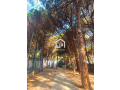 shitet-vile-3-kt-zona-qerret-resorti-marea-small-1