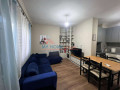 apartament-11-ne-shitje-misto-mame-tirane-small-2