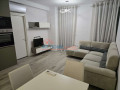 apartament-11-me-qira-ali-demi-tirane-small-0