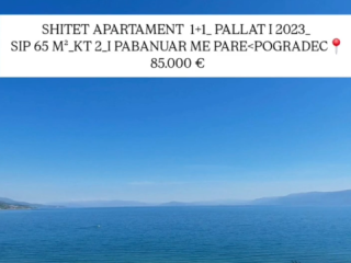 Pogradec shitet 1+1