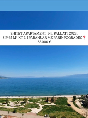 pogradec-shitet-11-big-0