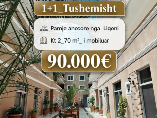 Shitet ap 1+1 ne Tushemisht