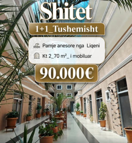 shitet-ap-11-ne-tushemisht-big-0