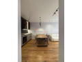 apartament-11-me-qira-ali-demi-tirane-small-0