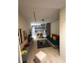 apartament-11-me-qira-rruga-mine-peza-tirane-small-1