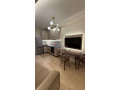 apartament-11-me-qera-tek-materniteti-i-ri-ne-tirane-small-0