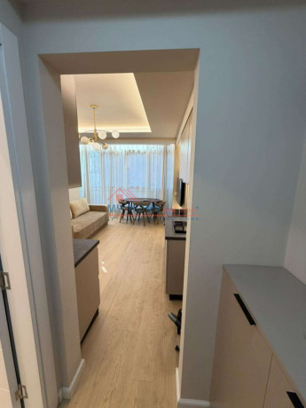 apartament-11-me-qera-tek-materniteti-i-ri-ne-tirane-big-3
