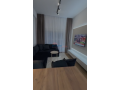 apartament-11-me-qira-ali-demi-tirane-small-2
