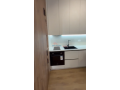 apartament-11-me-qira-ali-demi-tirane-small-1