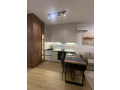 apartament-11-me-qira-ali-demi-tirane-small-0