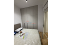 apartament-11-me-qira-ali-demi-tirane-small-2