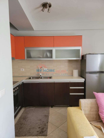 apartament-11-me-qera-ali-demi-ne-tirane-big-1