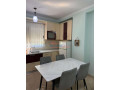 apartament-21-me-qera-tek-materniteti-i-ri-ne-tirane-small-3