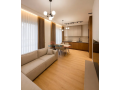 apartament-11-me-qira-ali-demi-tirane-small-0