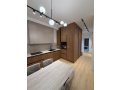 apartament-11-me-qira-ali-demi-tirane-small-3