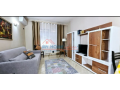 apartament-11-me-qira-tek-rruga-e-kavajes-ne-tirane-small-2
