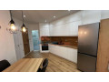 apartament-11-post-parkimi-me-qira-tek-xhamia-e-tabakeve-tirane-small-3