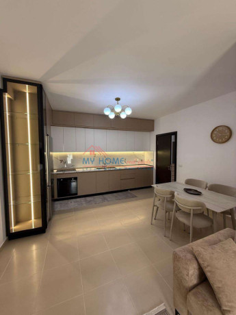 apartament-21-me-qira-tek-ish-tregu-elektrik-tirane-big-0