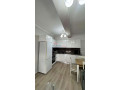 apartament-11-me-qira-tek-brryli-tirane-small-1