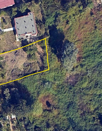 shitet-toke-zona-qyteti-studenti-sauk-big-0