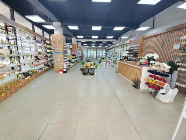 shitet-dyqan-ne-zonen-komuna-parisit-kristal-center-big-0