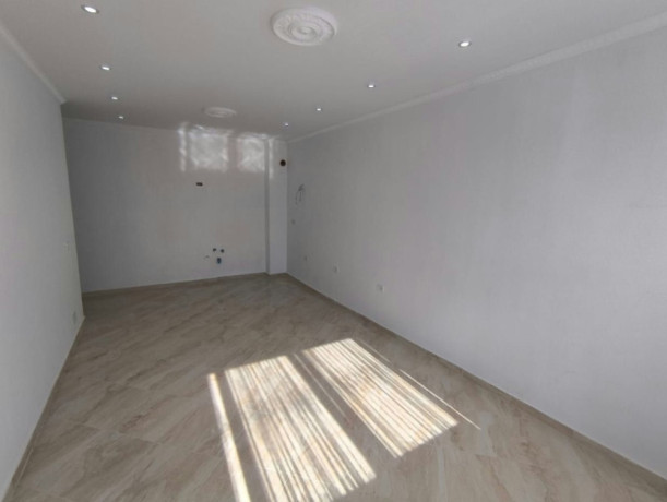 shitet-apartament-11-zona-fresku-linze-dajt-big-0