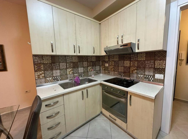 jepet-shtepi-me-qera-per-banim-ne-pallat-i-ri-21-zona-selite-kodra-e-diellit-big-2