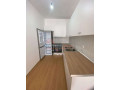 apartament-21-per-qira-afer-qsut-ne-tirane-small-2