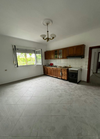 shitet-shtepi-private-ne-kamez-big-1