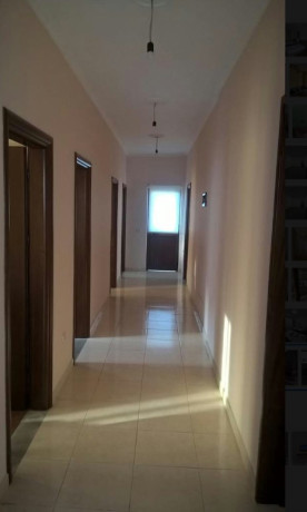 tek-qtu-shitet-vile-2-kateshe-big-2