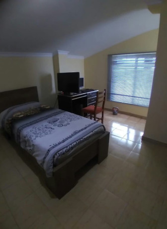 shitet-31-tek-xhamlliku-big-0