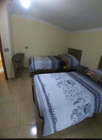 shitet-31-tek-xhamlliku-big-1