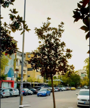 shitet-dyqan-zona-stadiumi-dinamo-big-0