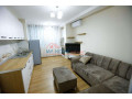 apartament-11-me-qera-rruga-e-kosovareve-ne-tirane-small-2