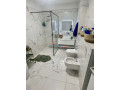 apartament-21-garazh-ne-shitje-te-ali-demi-tirane-small-3