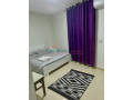 apartament-11-me-qira-mine-peza-tirane-small-0