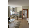 apartament-11-me-qira-mine-peza-tirane-small-4