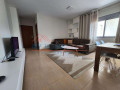 apartament-11-me-qira-mine-peza-tirane-small-2