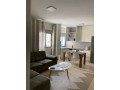 apartament-11-me-qira-mine-peza-tirane-small-3