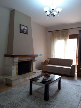 jepet-me-qira-vile-ne-sauk-perball-liqenit-artificial-big-4